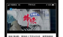 蓝莓视频,探索视觉盛宴的奇幻之旅